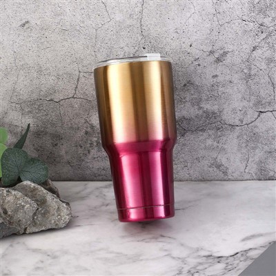 Vacuum Insulated Bottle